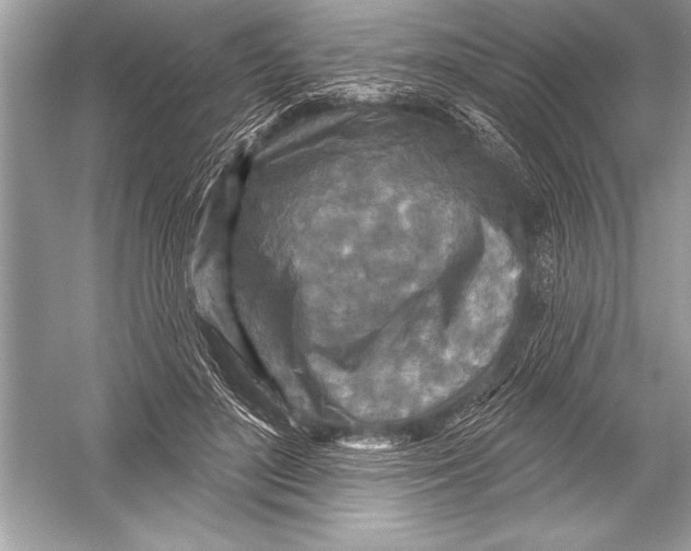 X0000051860500200507221900