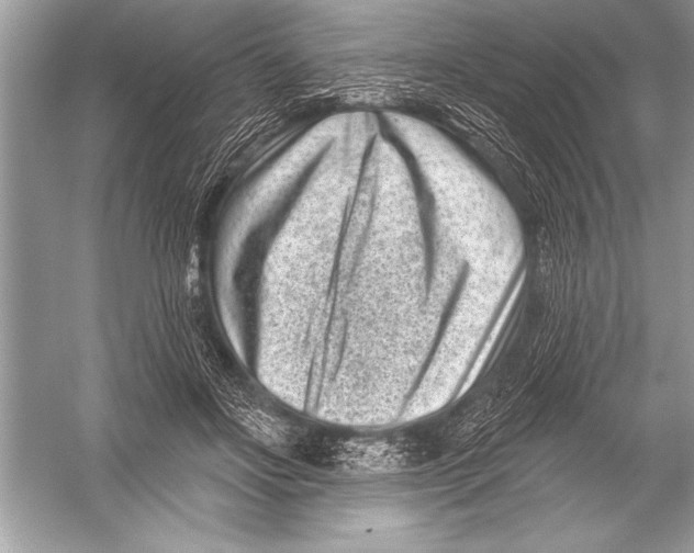 X0000051860502200507221900