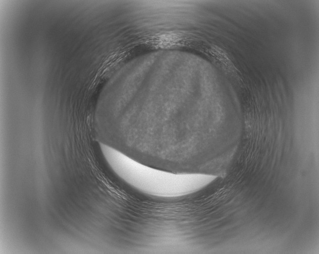 X0000051860503200507221900