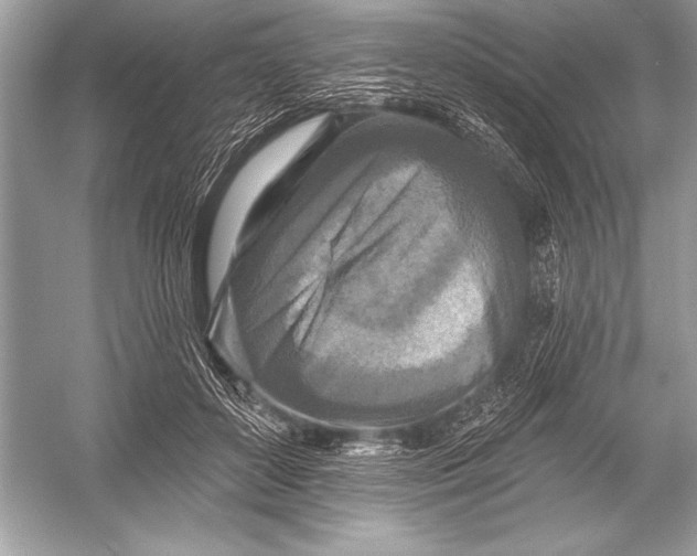 X0000051860504200507221900