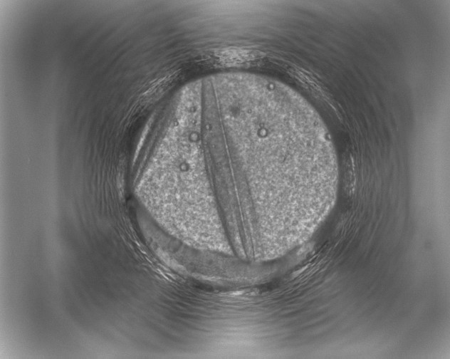 X0000051860505200507221900