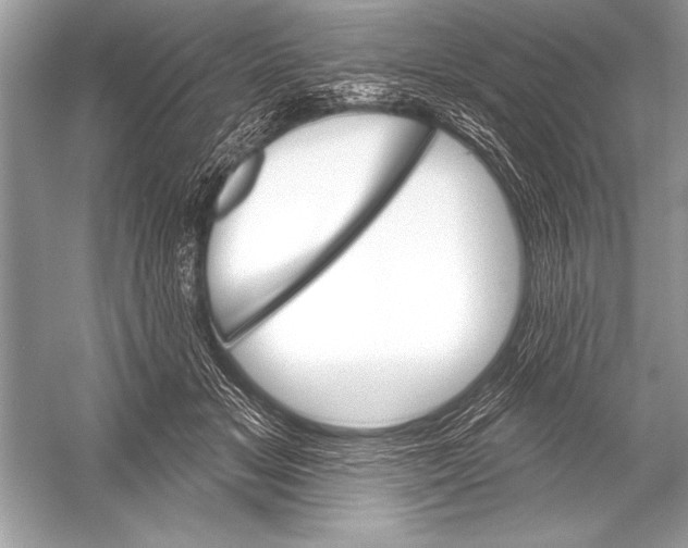 X0000051860509200507221900