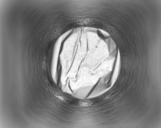 X0000051860510200507221900