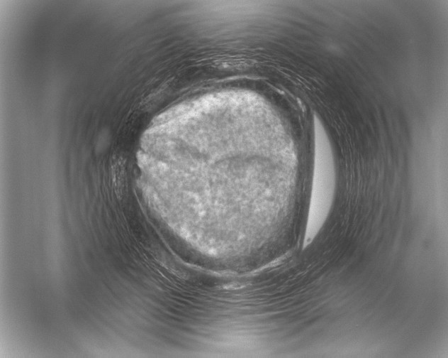 X0000051860511200507221900