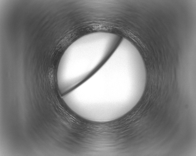 X0000051860513200507221900