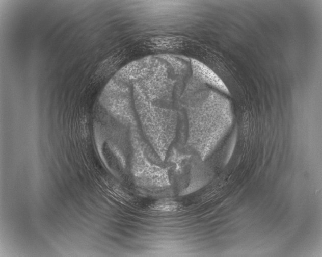 X0000051860514200507221900