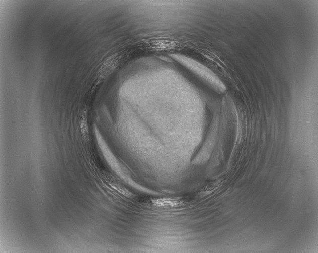 X0000051860516200507221900