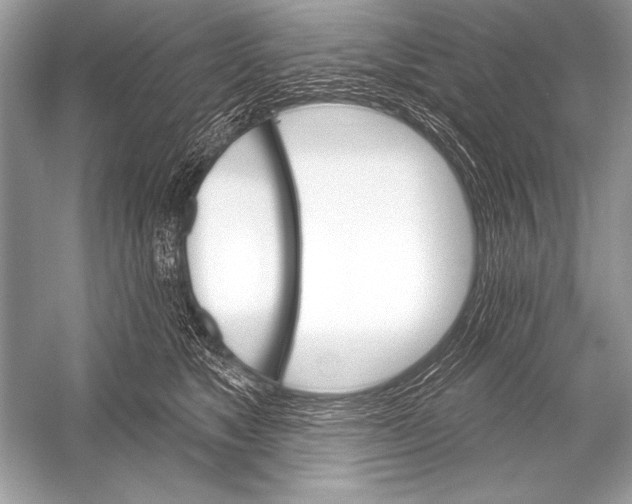 X0000051860517200507221900