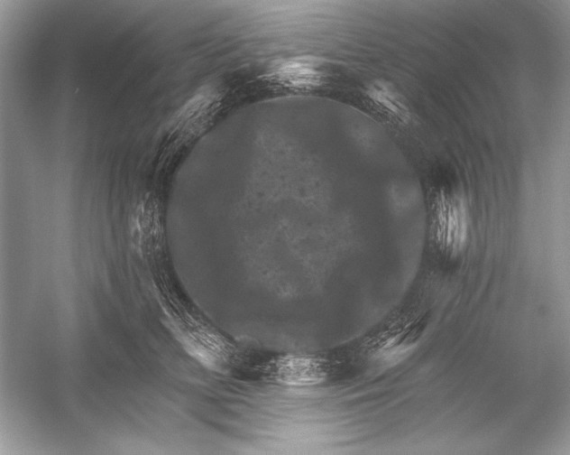 X0000051860518200507221900