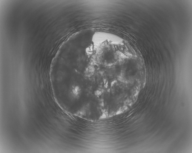 X0000051860519200507221900