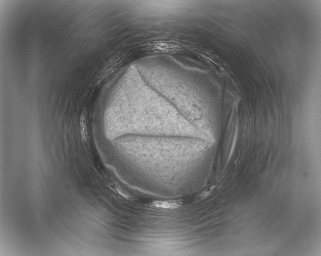 X0000051860520200507221900