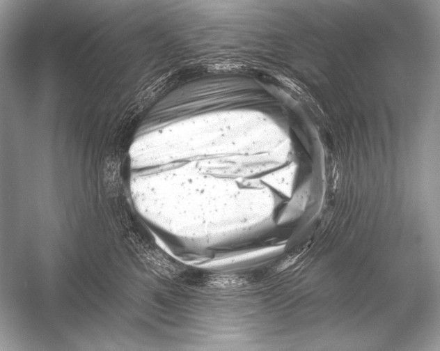 X0000051860521200507221900