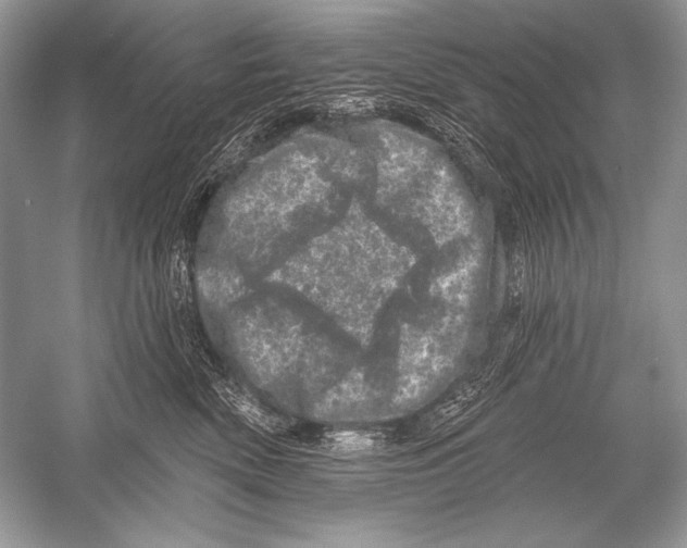 X0000051860522200507221900