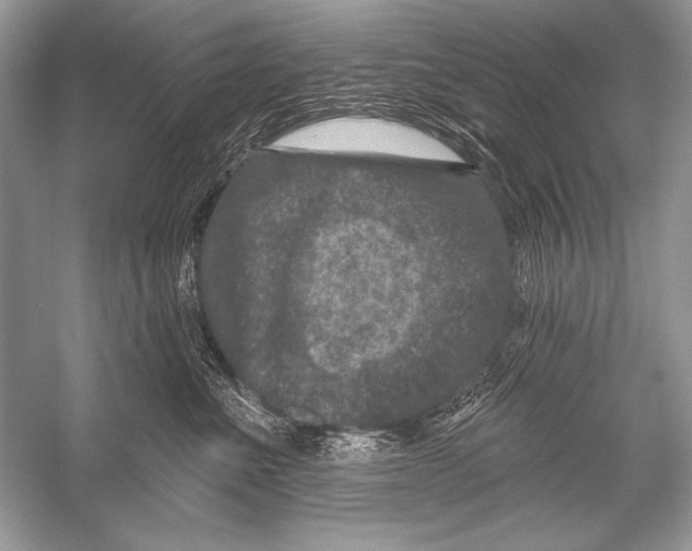 X0000051860523200507221900