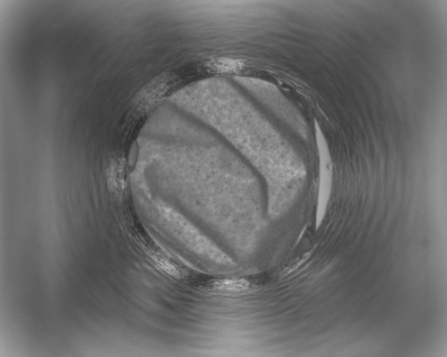 X0000051860525200507221900