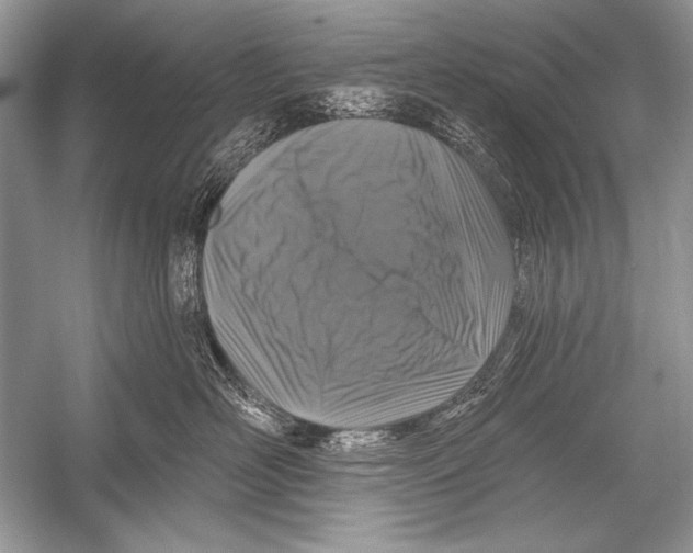 X0000051860526200507221900