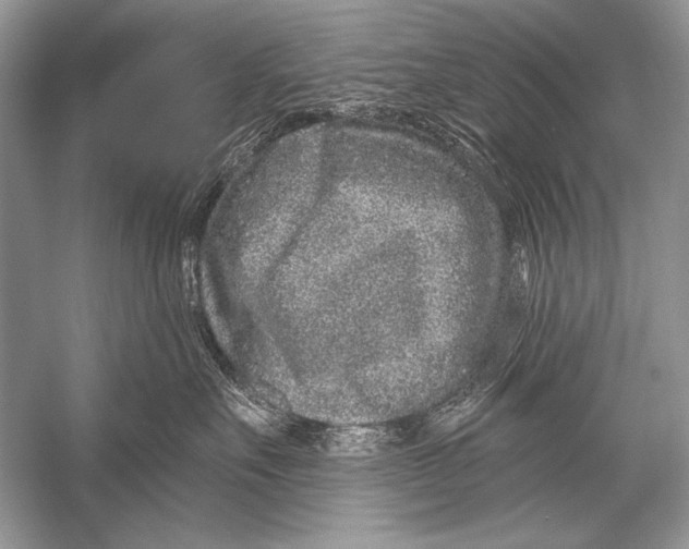 X0000051860527200507221900