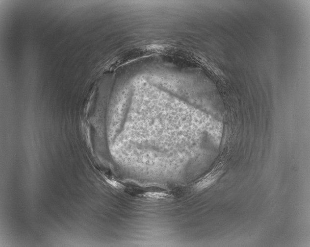 X0000051860528200507221900