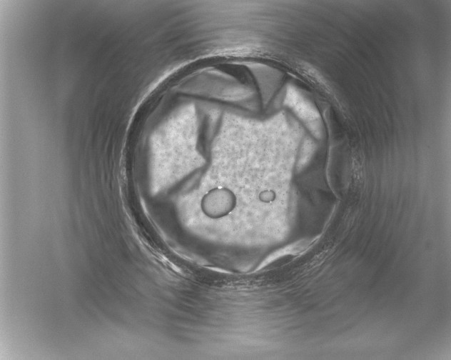 X0000051860532200507221859