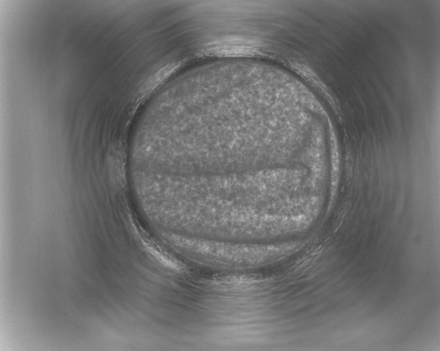 X0000051860533200507221859