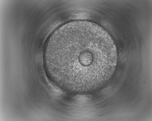 X0000051860534200507221859