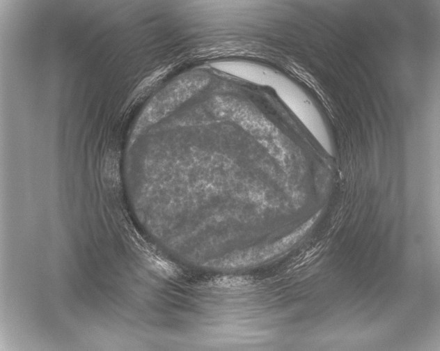 X0000051860537200507221859