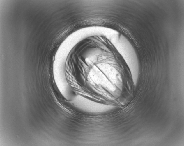 X0000051860538200507221859