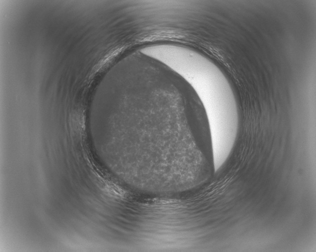 X0000051860539200507221859