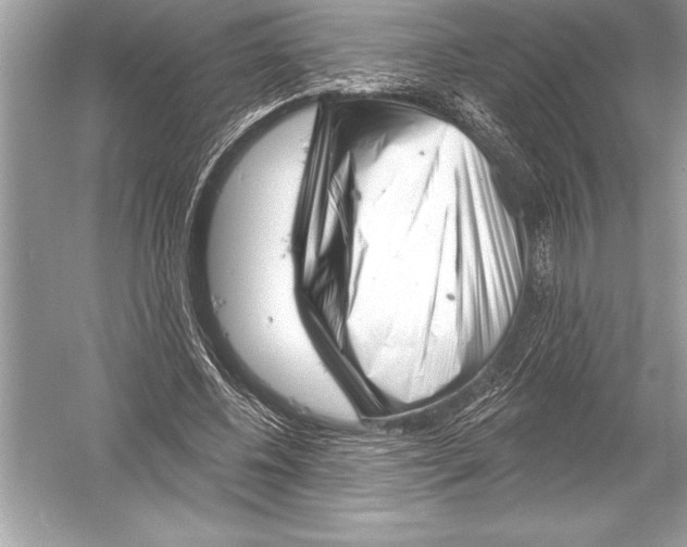 X0000051860540200507221859