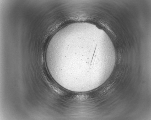 X0000051860541200507221859