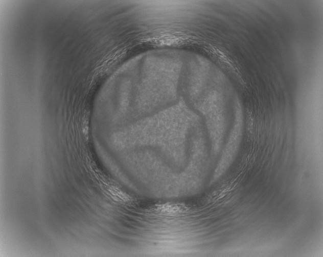 X0000051860545200507221859