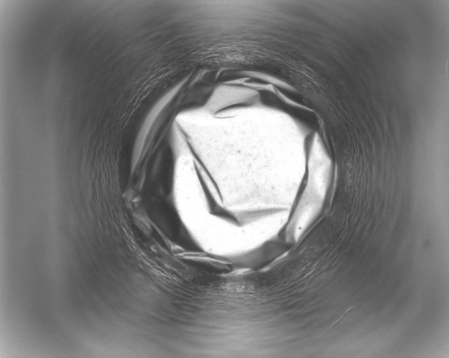 X0000051860546200507221859