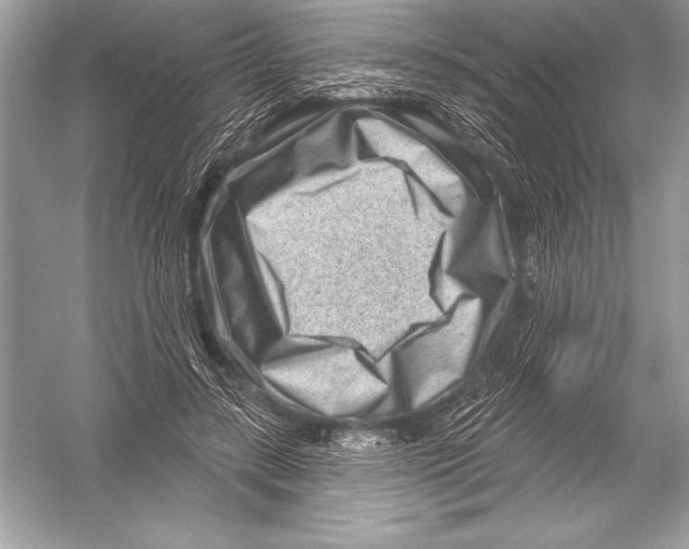 X0000051860547200507221859