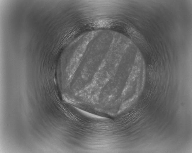 X0000051860550200507221859