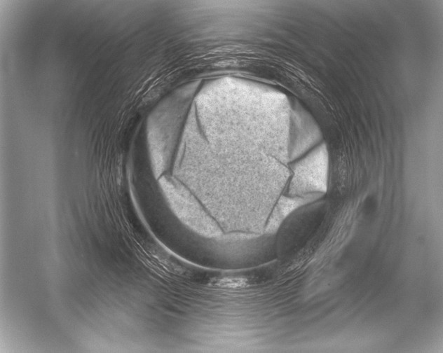 X0000051860554200507221900