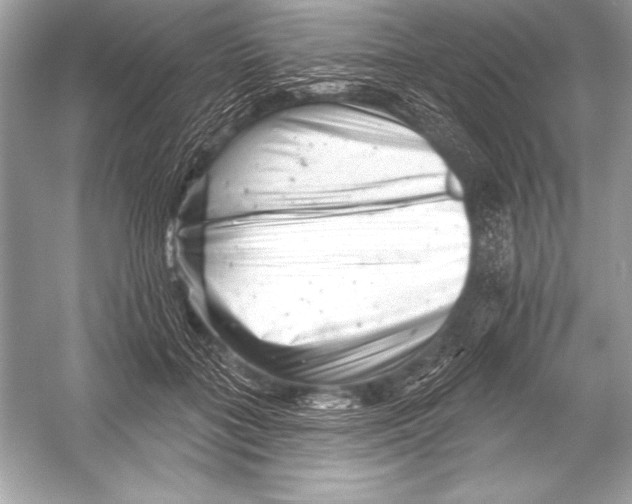 X0000051860555200507221900