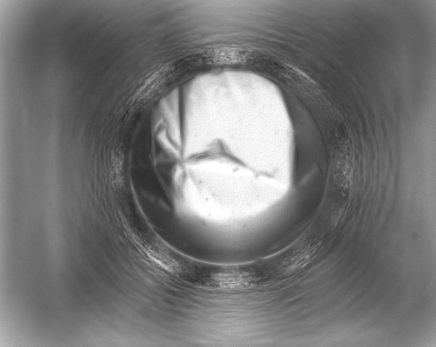 X0000051860556200507221900