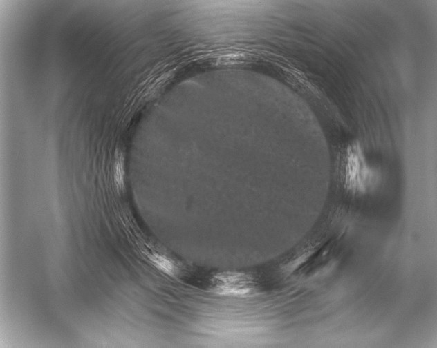 X0000051860557200507221900