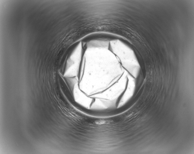 X0000051860558200507221900