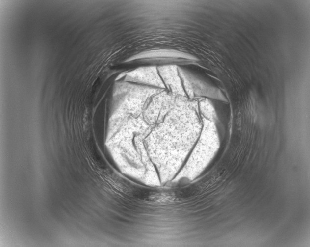 X0000051860559200507221900