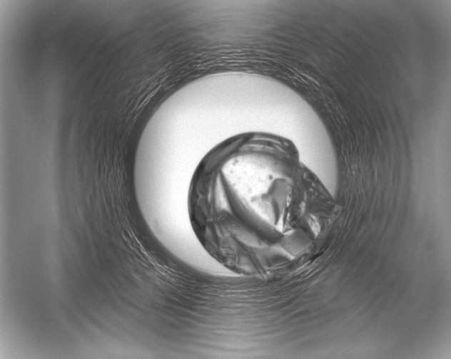 X0000051860560200507221900