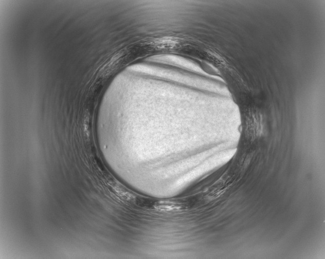 X0000051860561200507221900