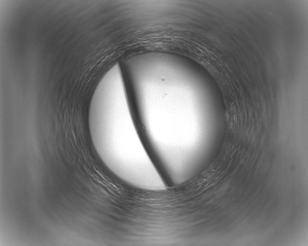 X0000051860562200507221900