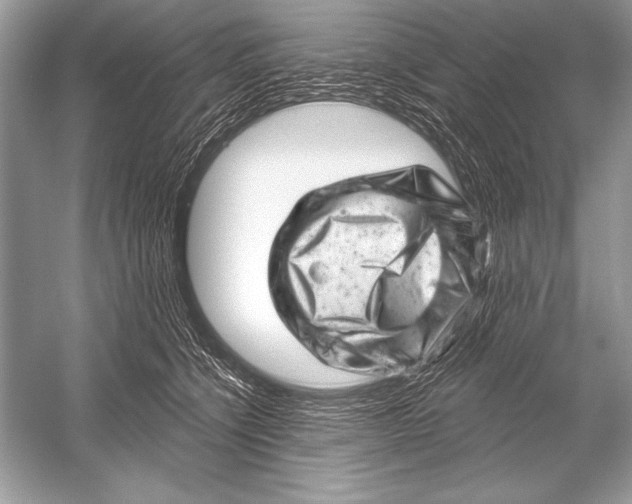 X0000051860564200507221900