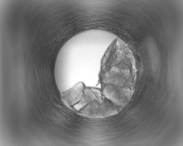 X0000051860565200507221900