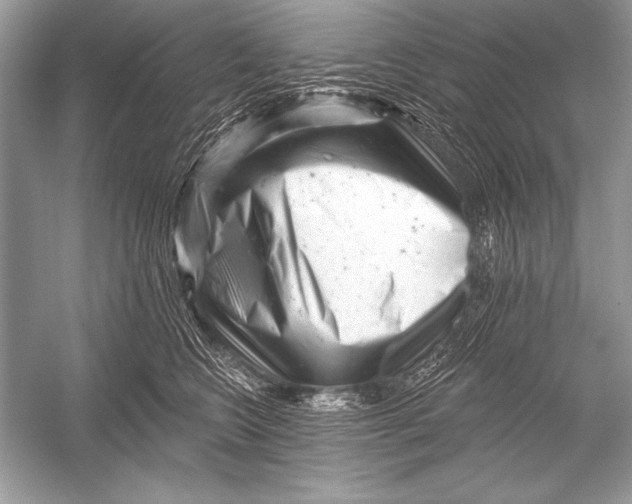 X0000051860566200507221900