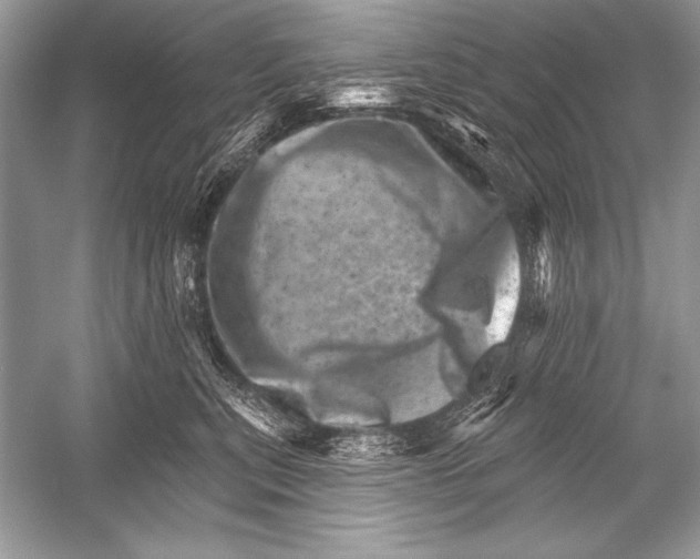 X0000051860567200507221900