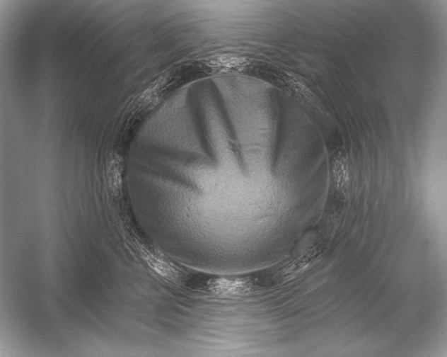 X0000051860570200507221900