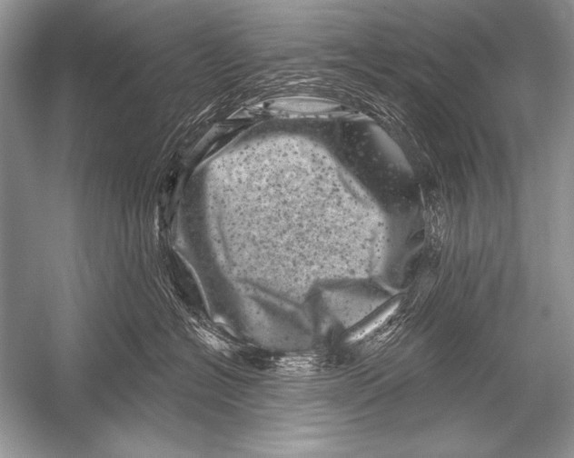 X0000051860574200507221900