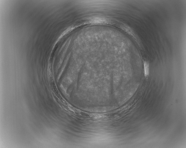 X0000051860579200507221859